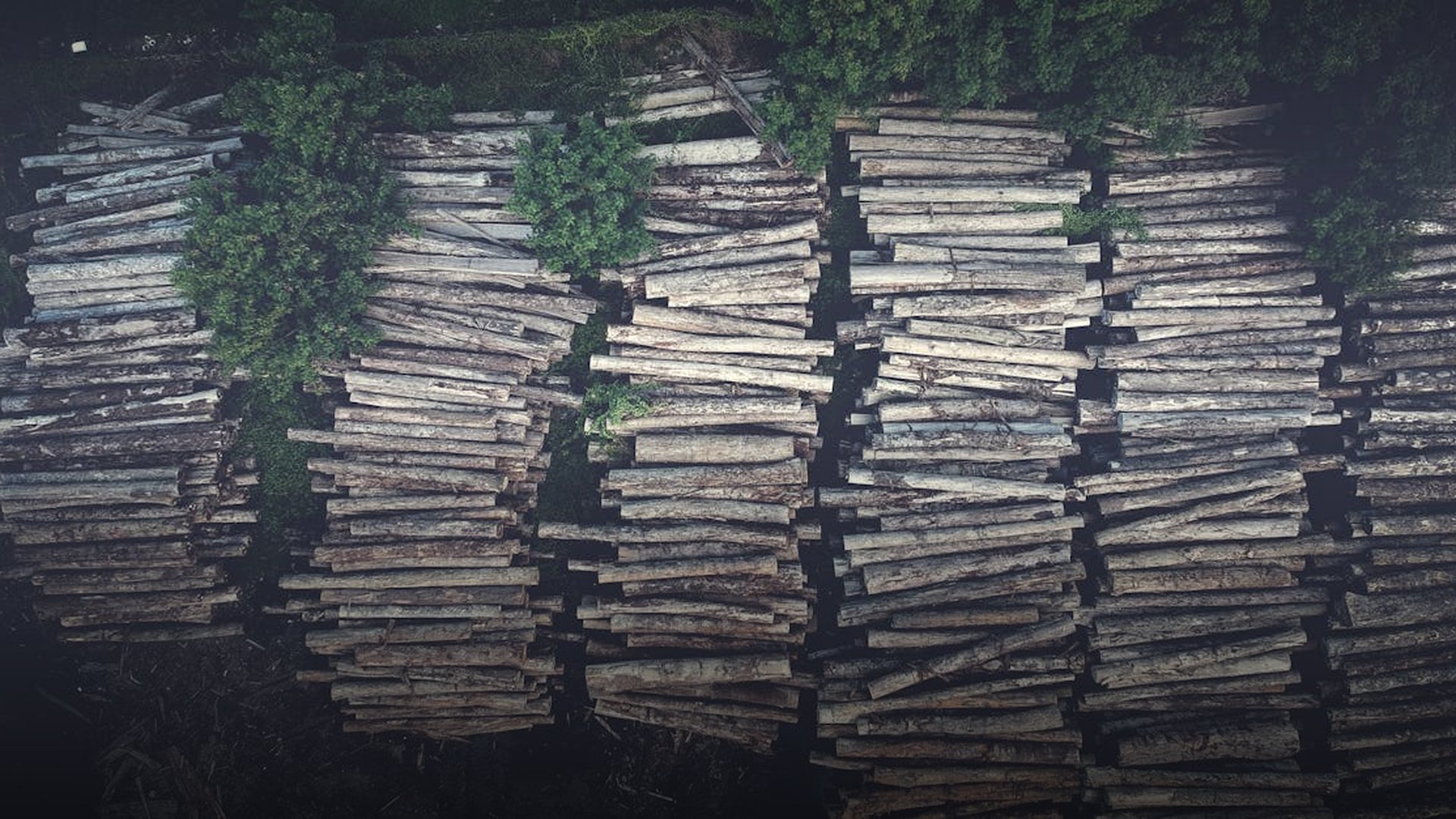 UN Report Exposes Massive Resource Exploitation in Congo War