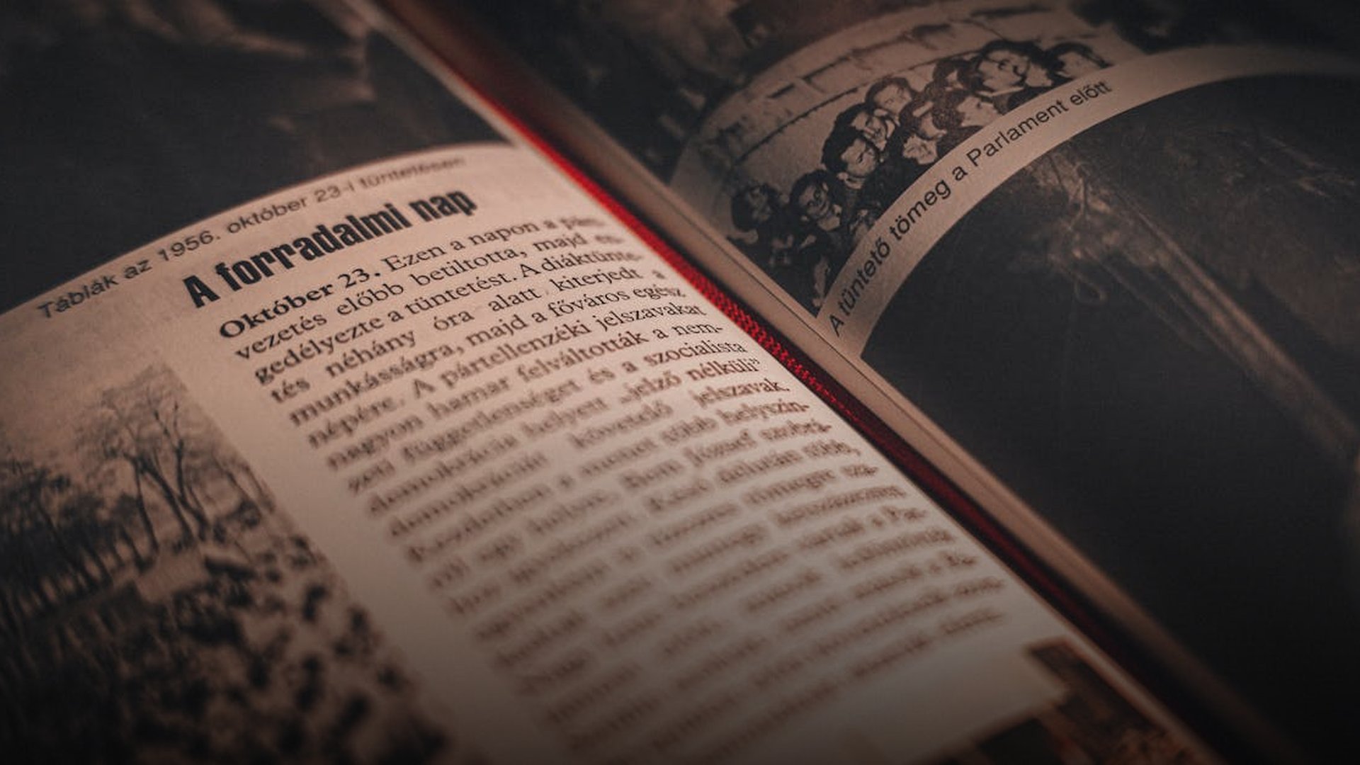 Libyan Revolution Erupts in Benghazi Against Gaddafi Rule