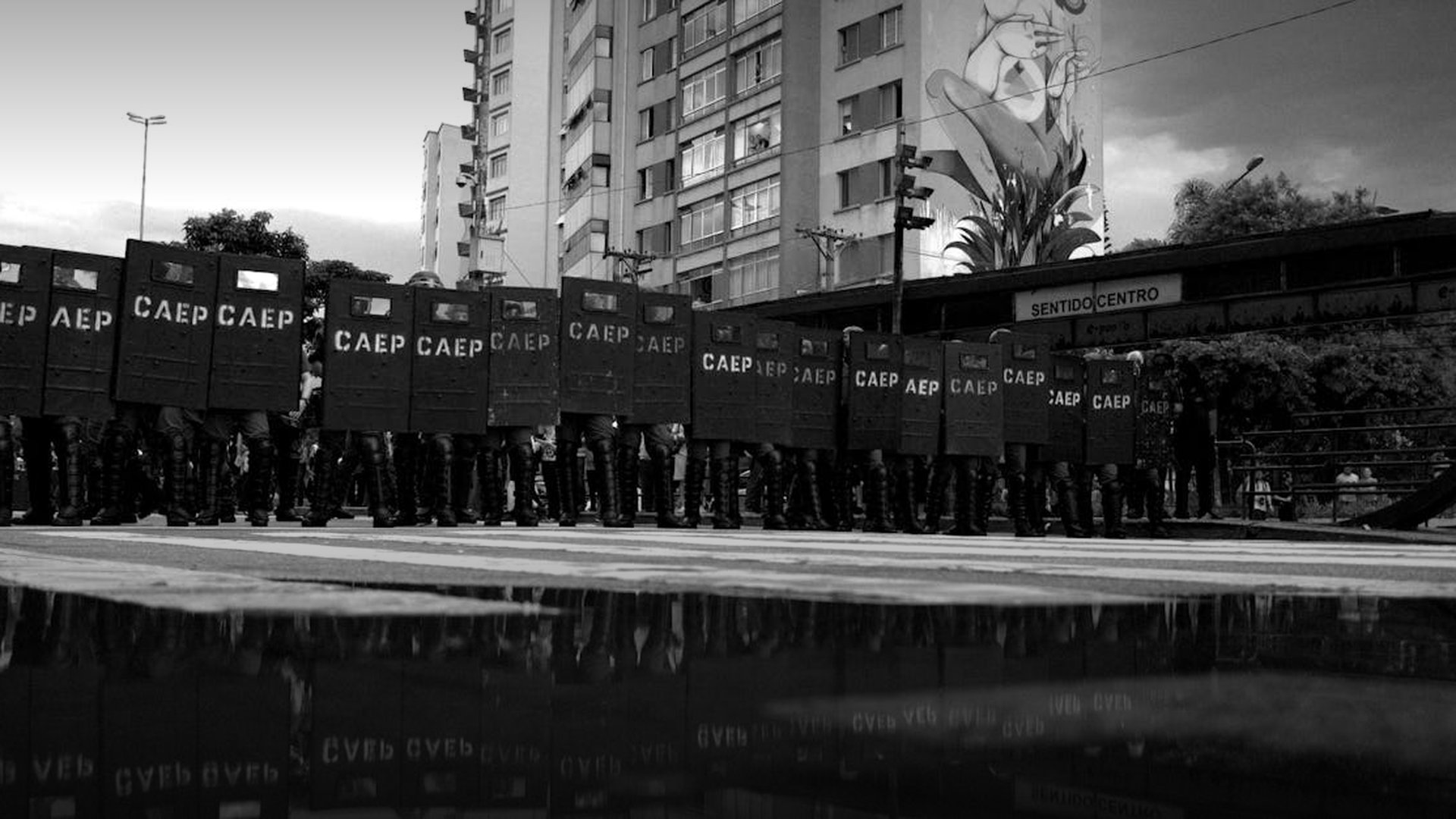 Syrian Forces Kill 17 Protesters in Homs Friday Demonstration