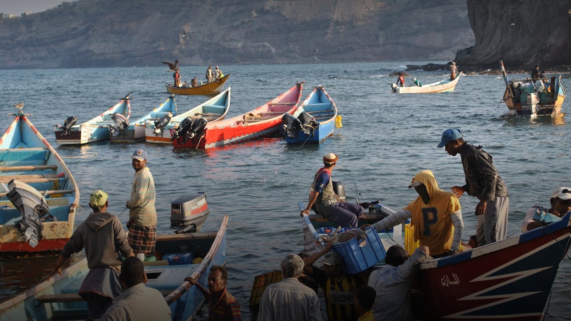 Southern Separatists Seize Control of Aden from Hadi Government